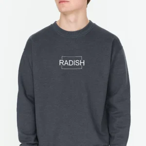 Sueter gris para caballero marca Radish